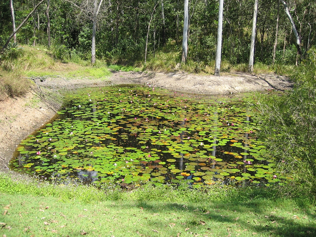 Cairns068 Kay's BBQ.jpg